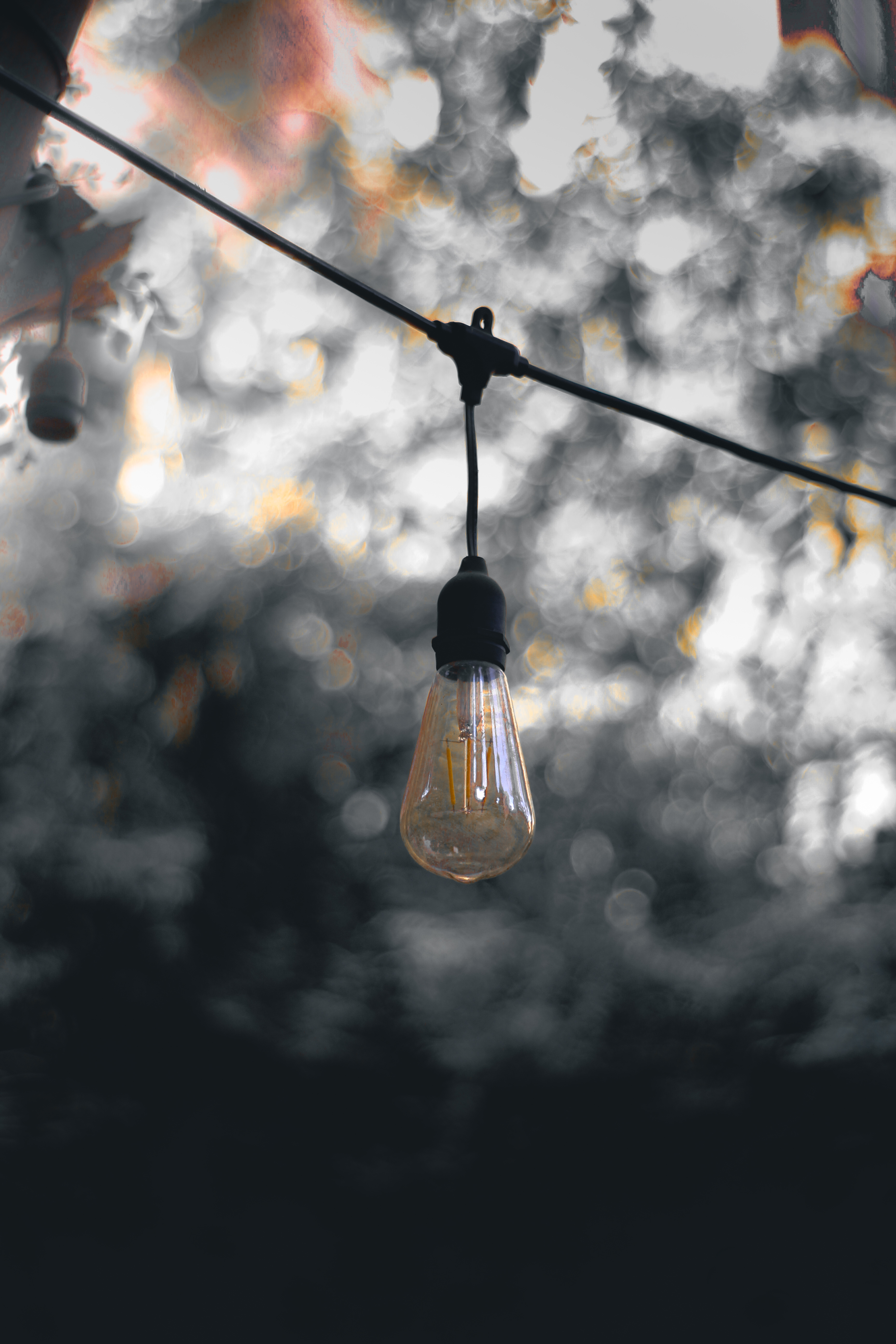 Service/Feature Image